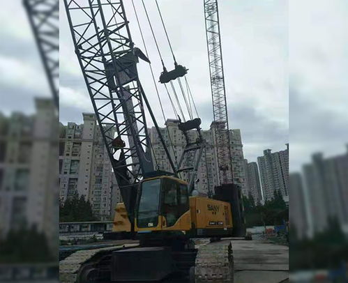 合肥履帶吊出租服務 安徽利茂現(xiàn)貨租賃與專業(yè)安裝